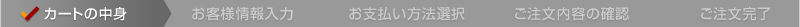 Cart_navi01