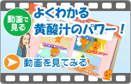 よくわかる黄酸汁パワー