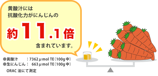 �T�W�[�W���[�X�̍R�_����