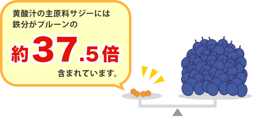 �T�W�[�W���[�X�̓S��