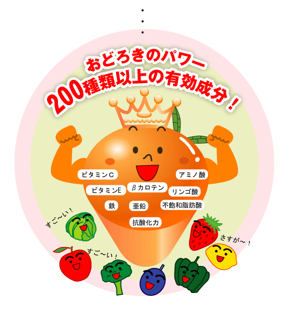 ���ǂ낫�̃p���[�A200��ވȏ�̗L������