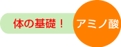 �̂̊�b�I�A�~�m�_