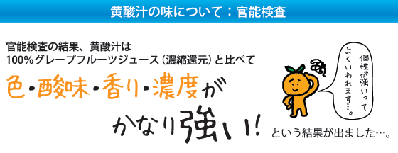 �F�E�_���E����E�Z�x�����Ȃ苭���I