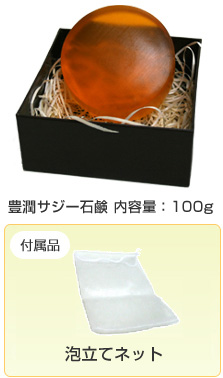 �L��������������@���e��100g