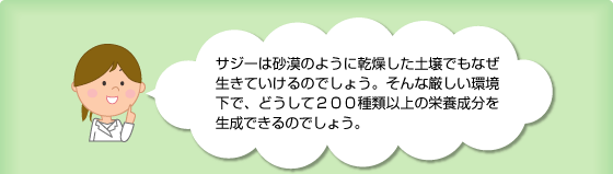 �T�W�[�i�����j�Ƃ�