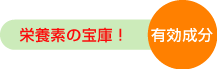 �h�{�f�̕�ɁA�L������
