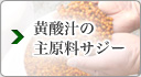 ���_�`�̎匴���T�W�[