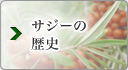�T�W�[�̗��j