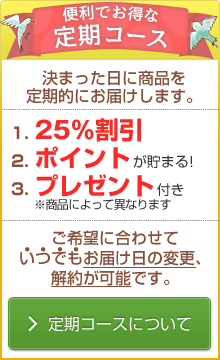 定期コースのご案内