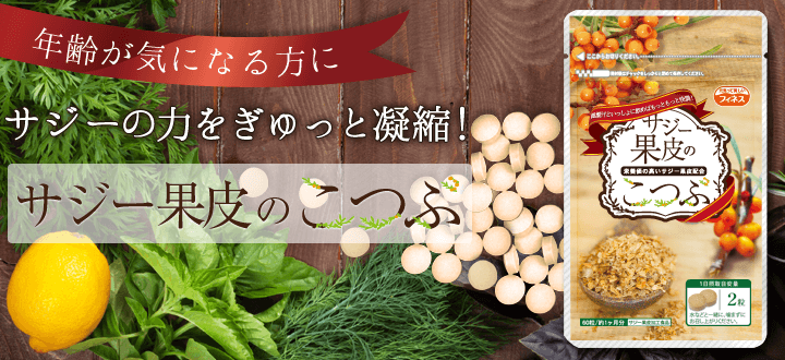 サジー果皮のこつぶ