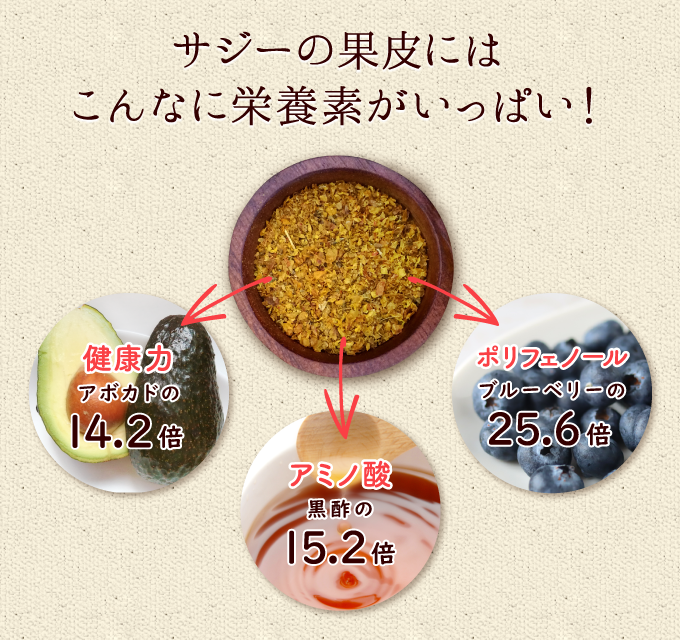 サジーの果皮には栄養がいっぱい