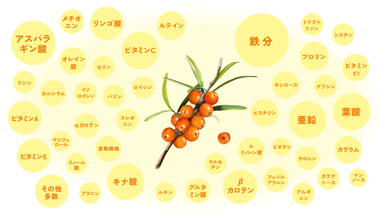200種類以上の栄養素